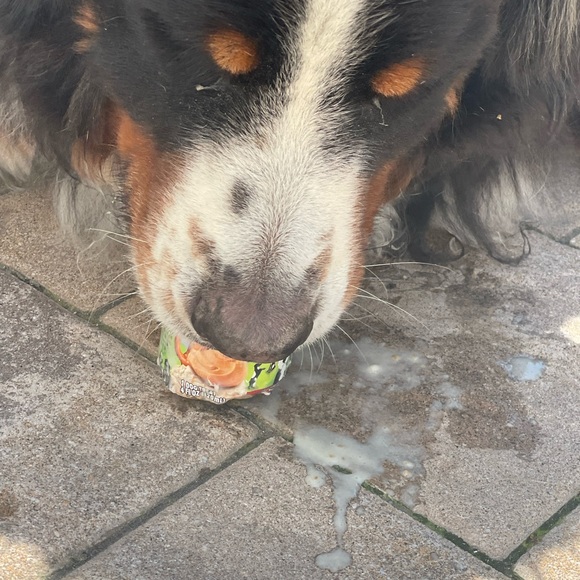 Meet your Posher, Amanda - Picture 8 of 9